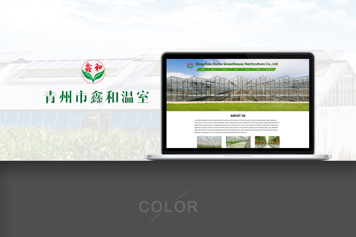 網(wǎng)站建設(shè)