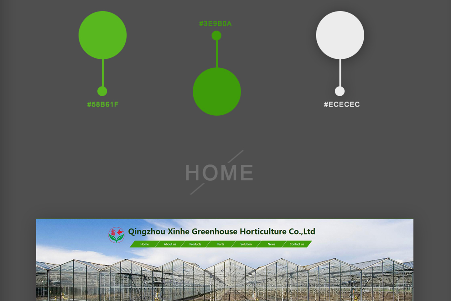 網(wǎng)站建設(shè)