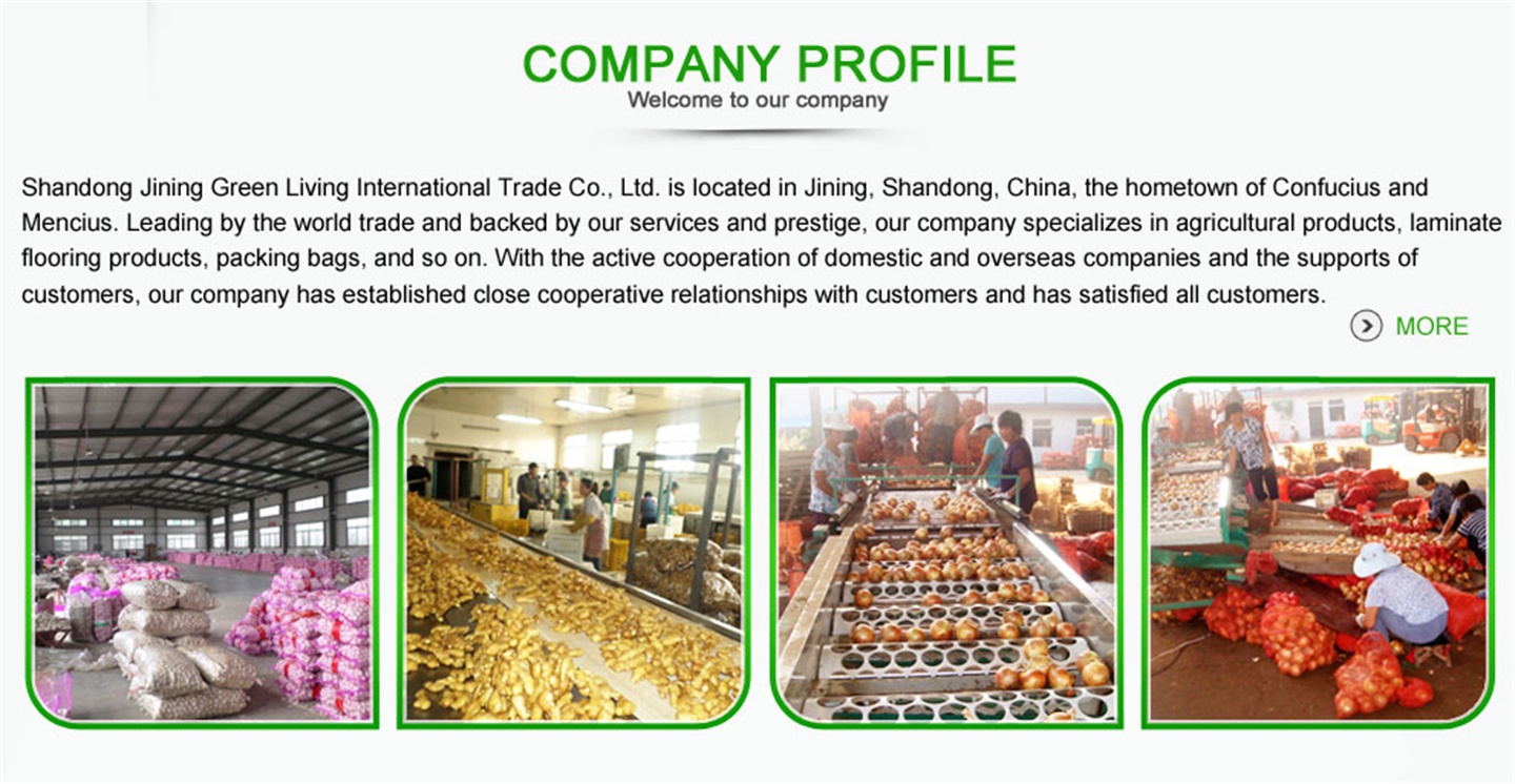 綠色生活國(guó)際貿(mào)易