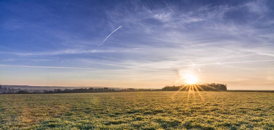 1495373925-8743-0521